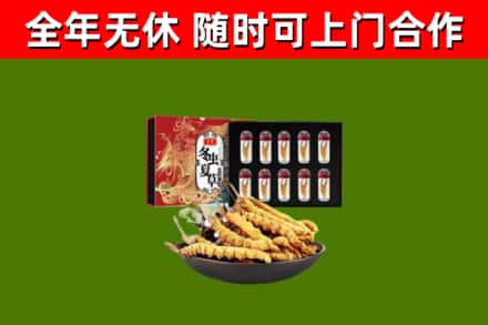寒亭回收冬虫夏草价格