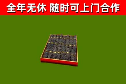 寒亭回收海参